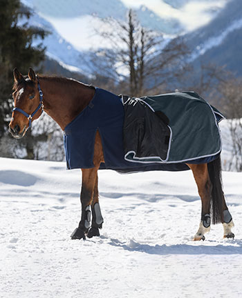 Decke Pferd 50g