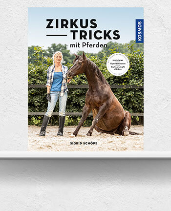 Zirkuslektionen