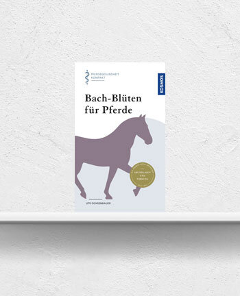 Gesundheit & Haltung