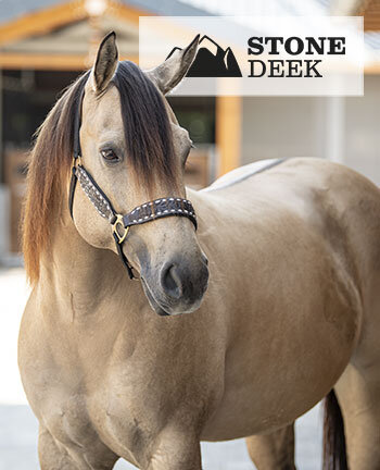STONEDEEK Westernhalfter