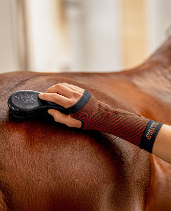 Therapieartikel fr Reiter