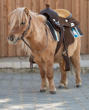 Westernponys