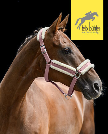 Felix B�hler Halfter & Stricke