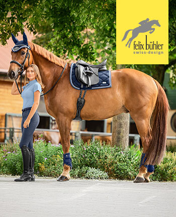 Felix B�hler Swiss Design