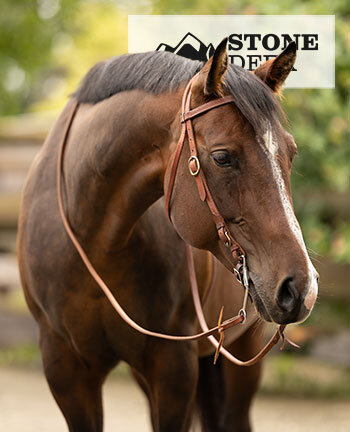 STONEDEEK Kopfst�cke & Zubeh�r