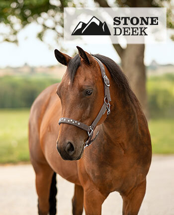 STONEDEEK Westernhalfter