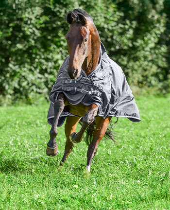 Pferdedecken