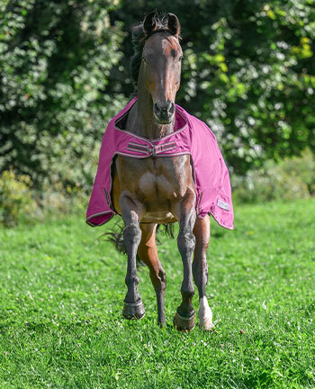 F�hranlagen- & Ausreitdecken