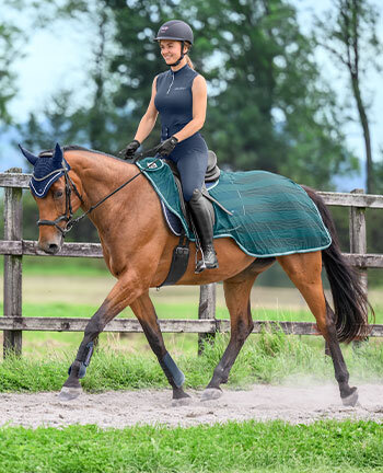 Fliegen-Ausreitdecken
