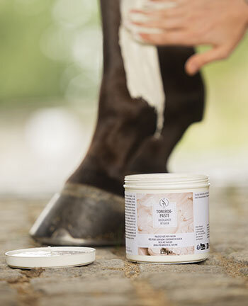 Sehnen, B�nder & Gelenke