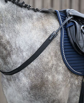 Vorderzeug & Martingal