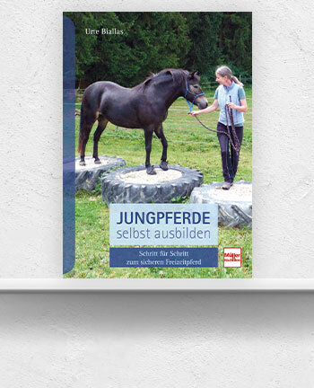 Basiswissen & Grundausbildung