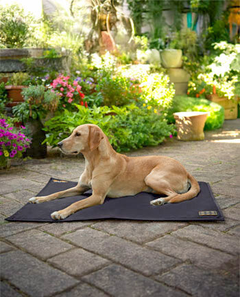 Therapieartikel f�r Hunde