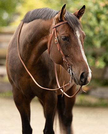 Westernkopfst�cke & Zubeh�r