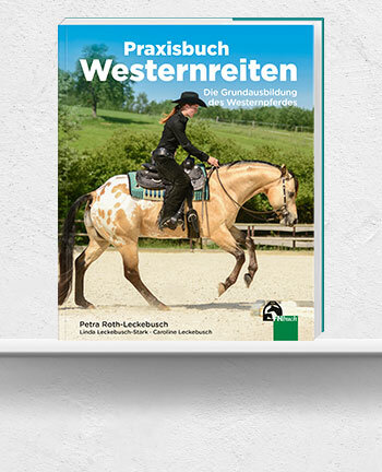 Freizeitreiten & Western