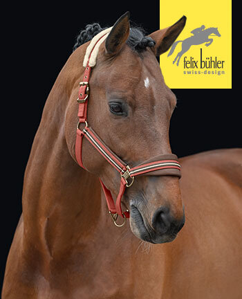 Felix Bhler Halfter & Stricke