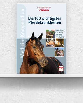 Gesundheit & Haltung