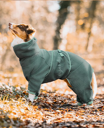 Hundebademntel & Hundepullover