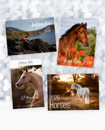 Kalender