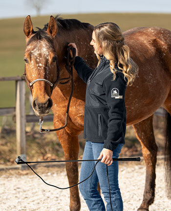 Horsemanship & Bodenarbeit