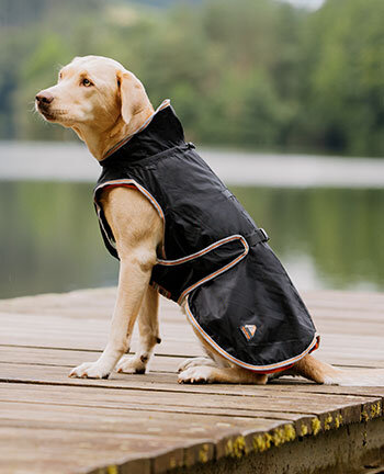 Therapieartikel für Hunde