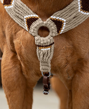 Westernvorderzeuge