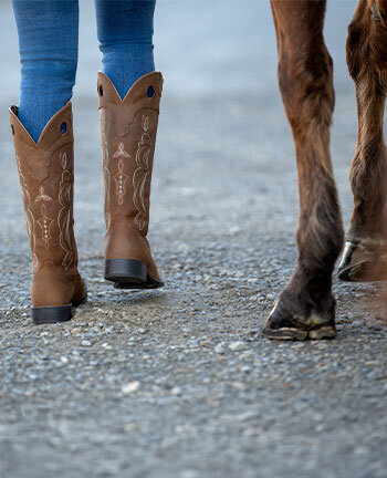 Westernstiefel, Chaps & Sporen