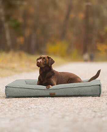 Hundebetten