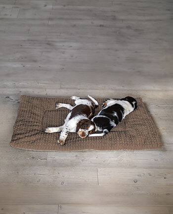 Hundekissen