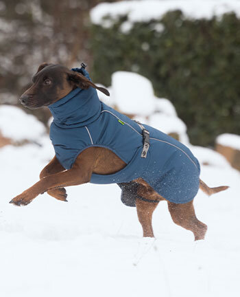 Hunde-Winterm�ntel