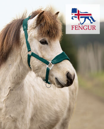 FENGUR Pferdezubeh�r