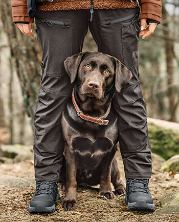 Hund