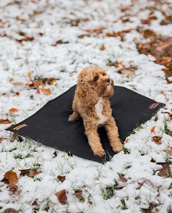 Therapieartikel f�r Hunde