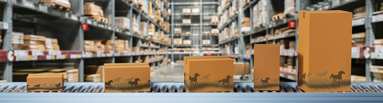 Logistik