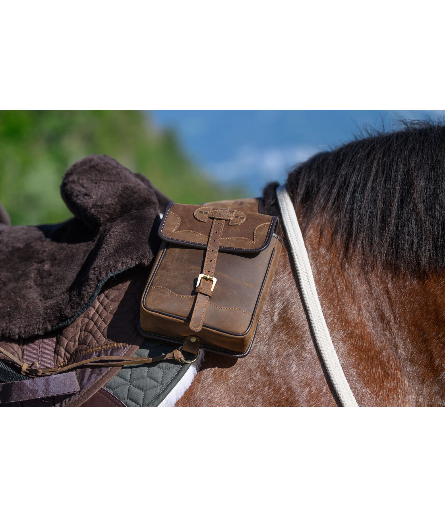 Echtleder-Vorderpacktasche Batian