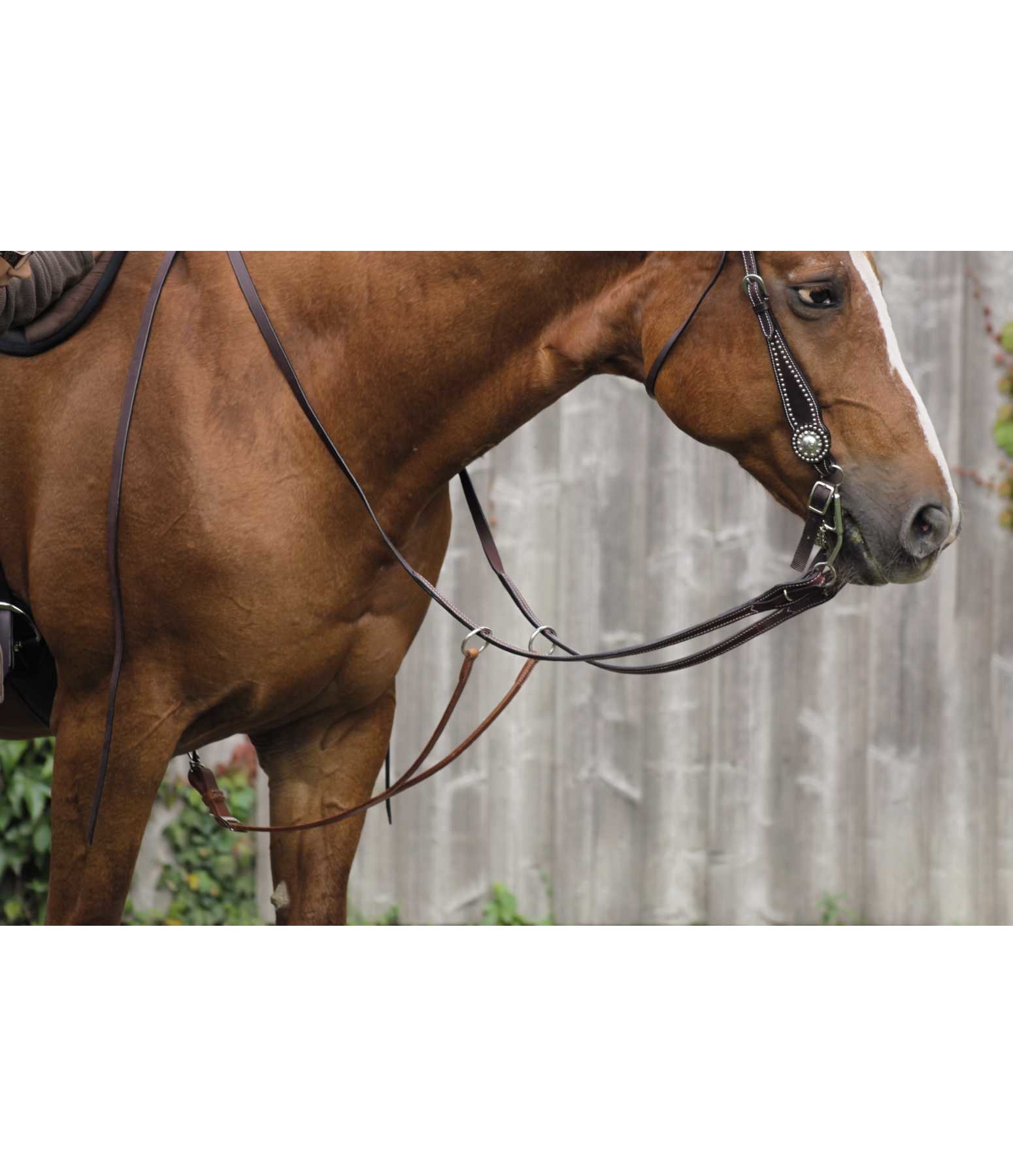 Western-Martingal