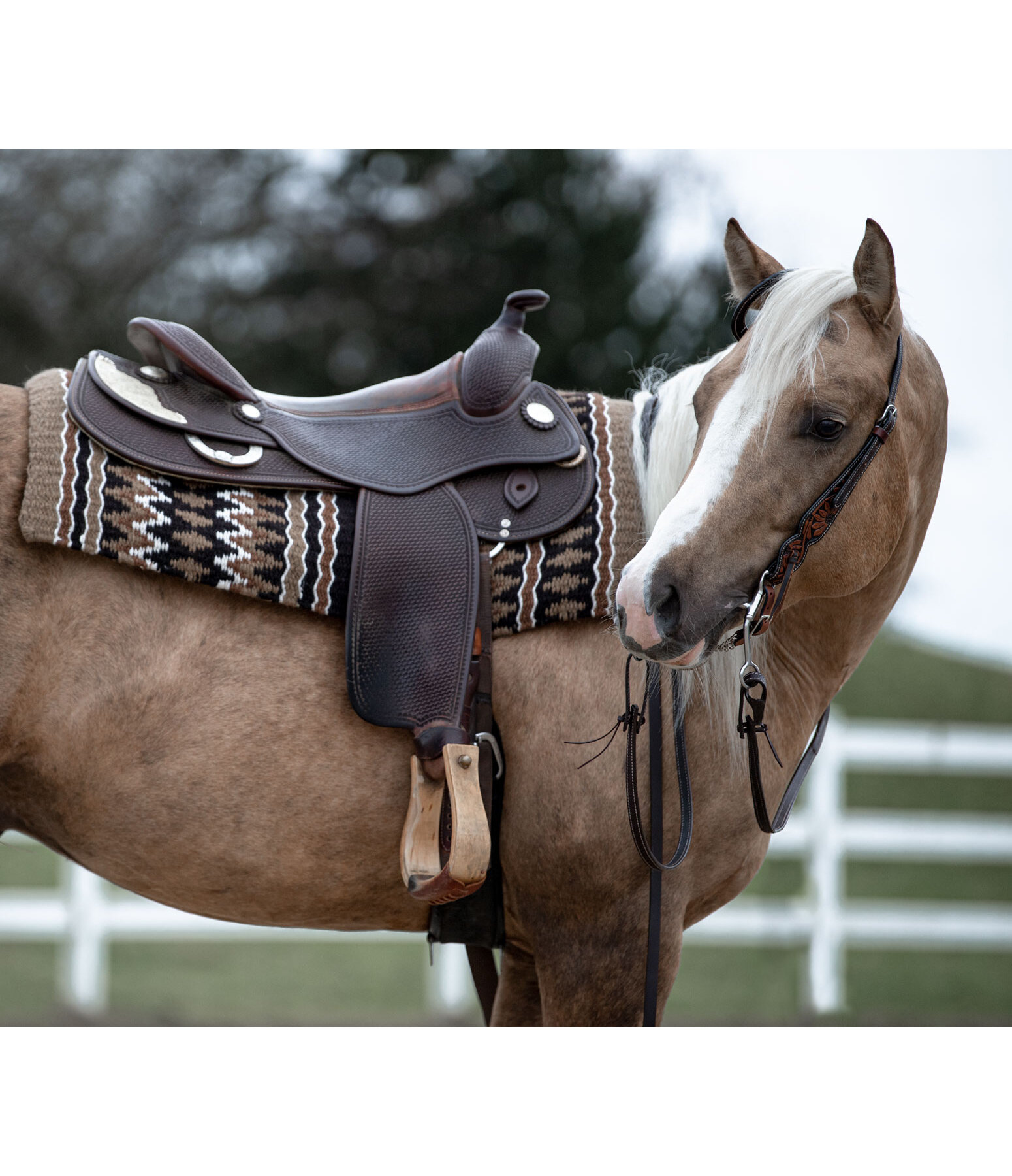 Showblanket Taos