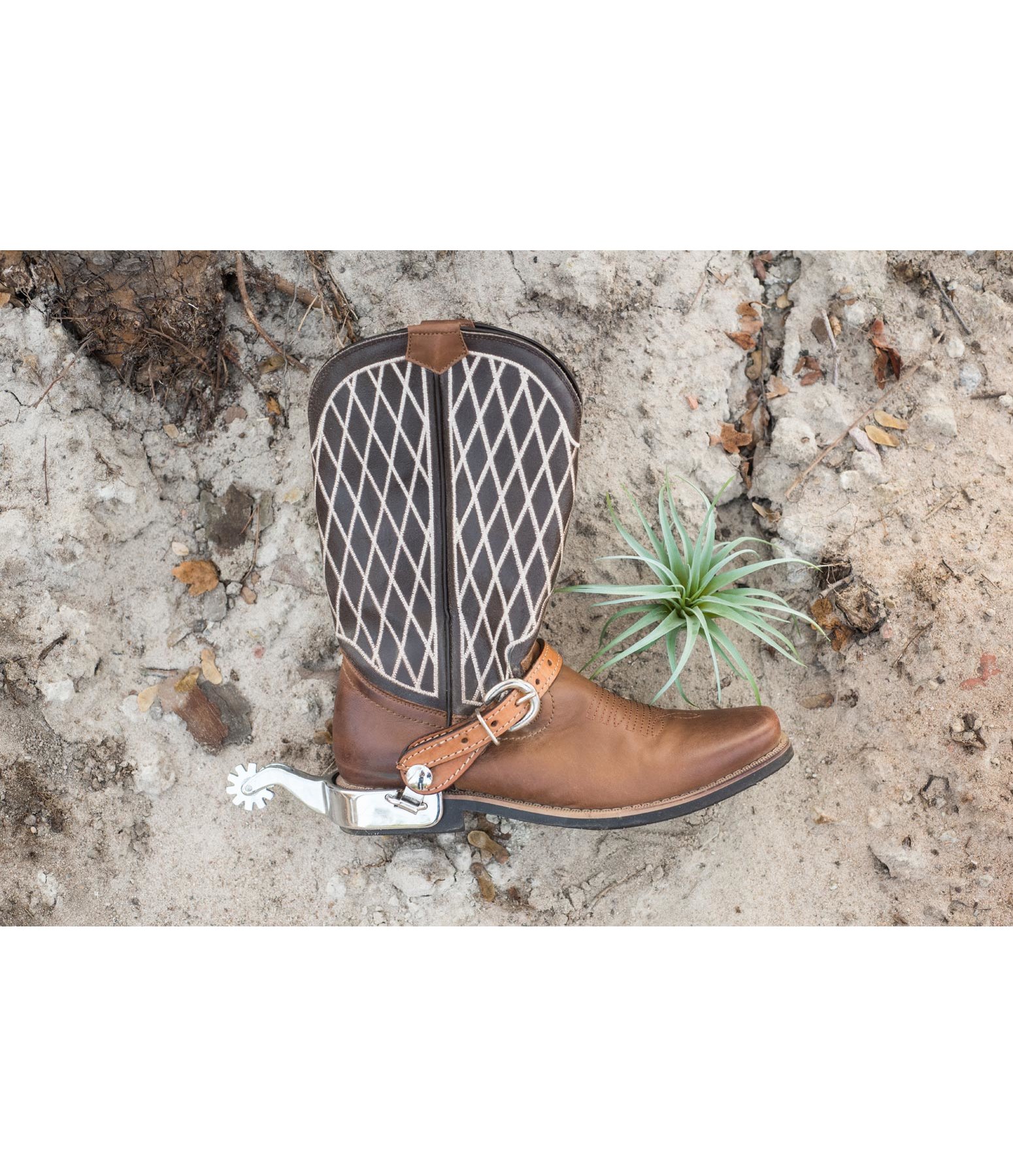 Boots Calico