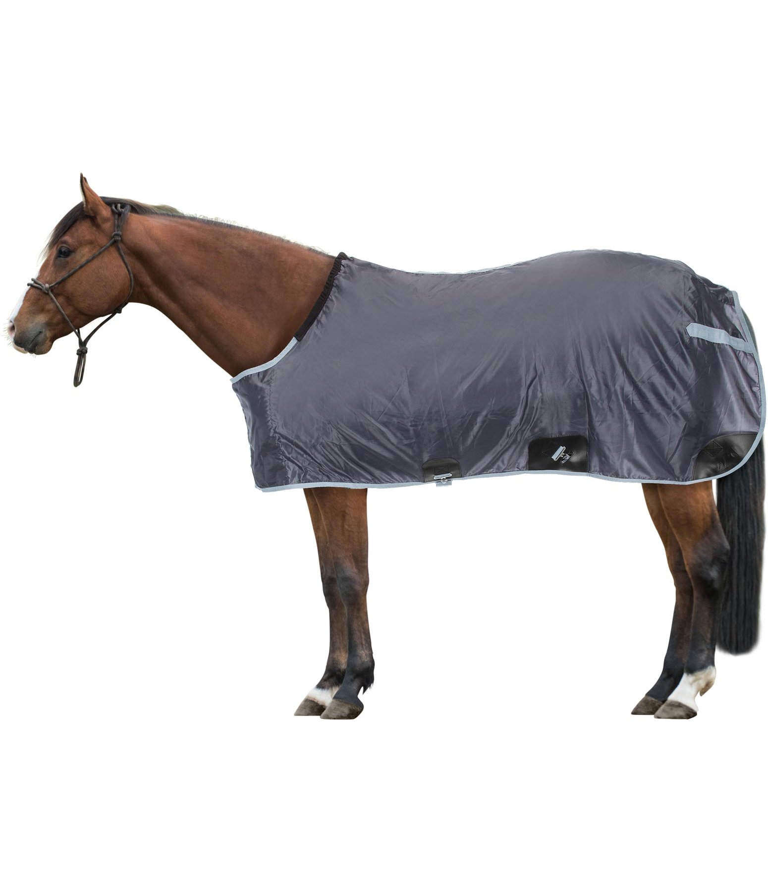 Stable Sheet