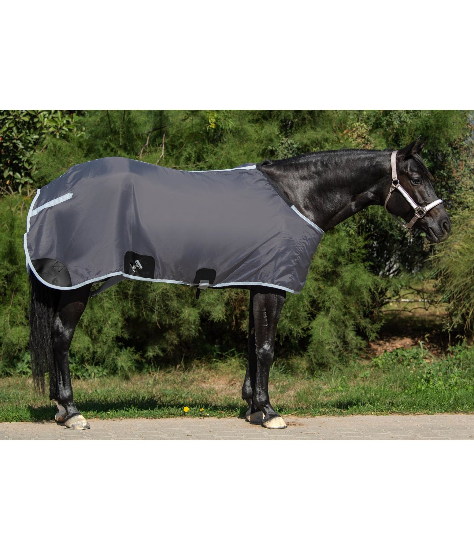 Stable Sheet