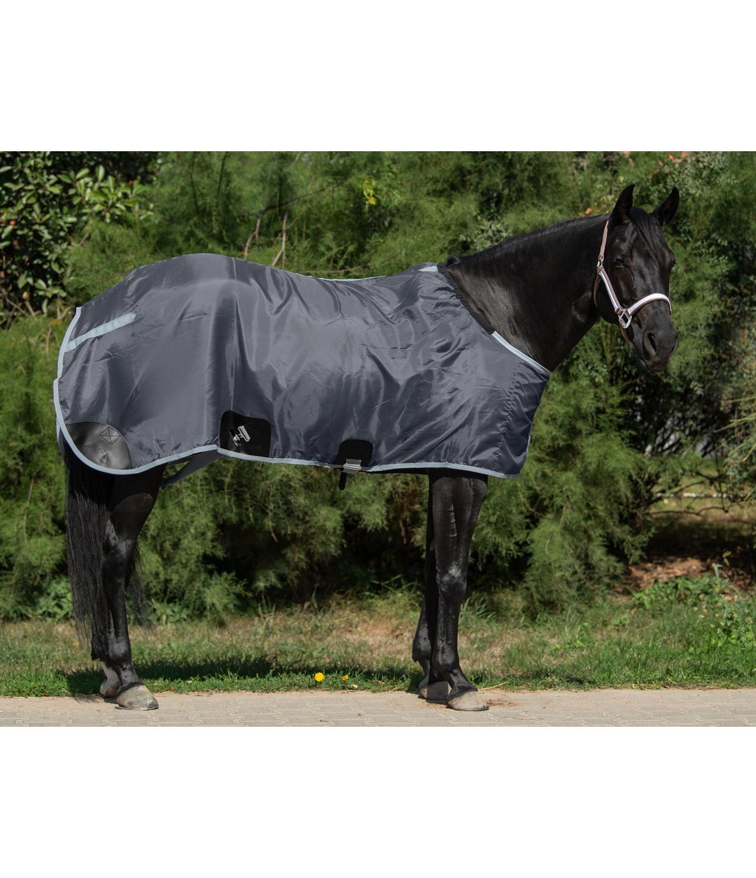 Stable Sheet