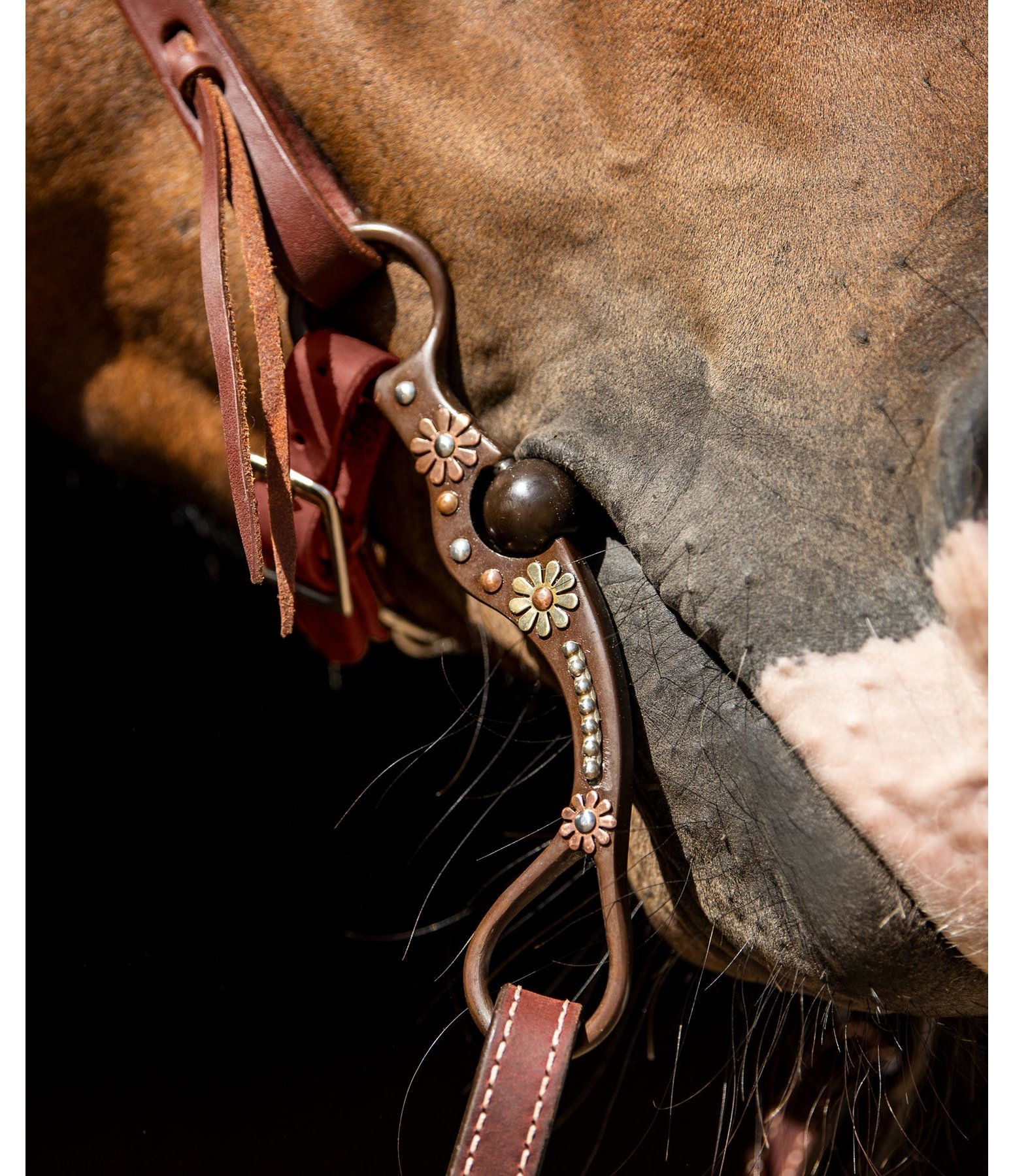 Snaffle Bit with Shanks Ellie
