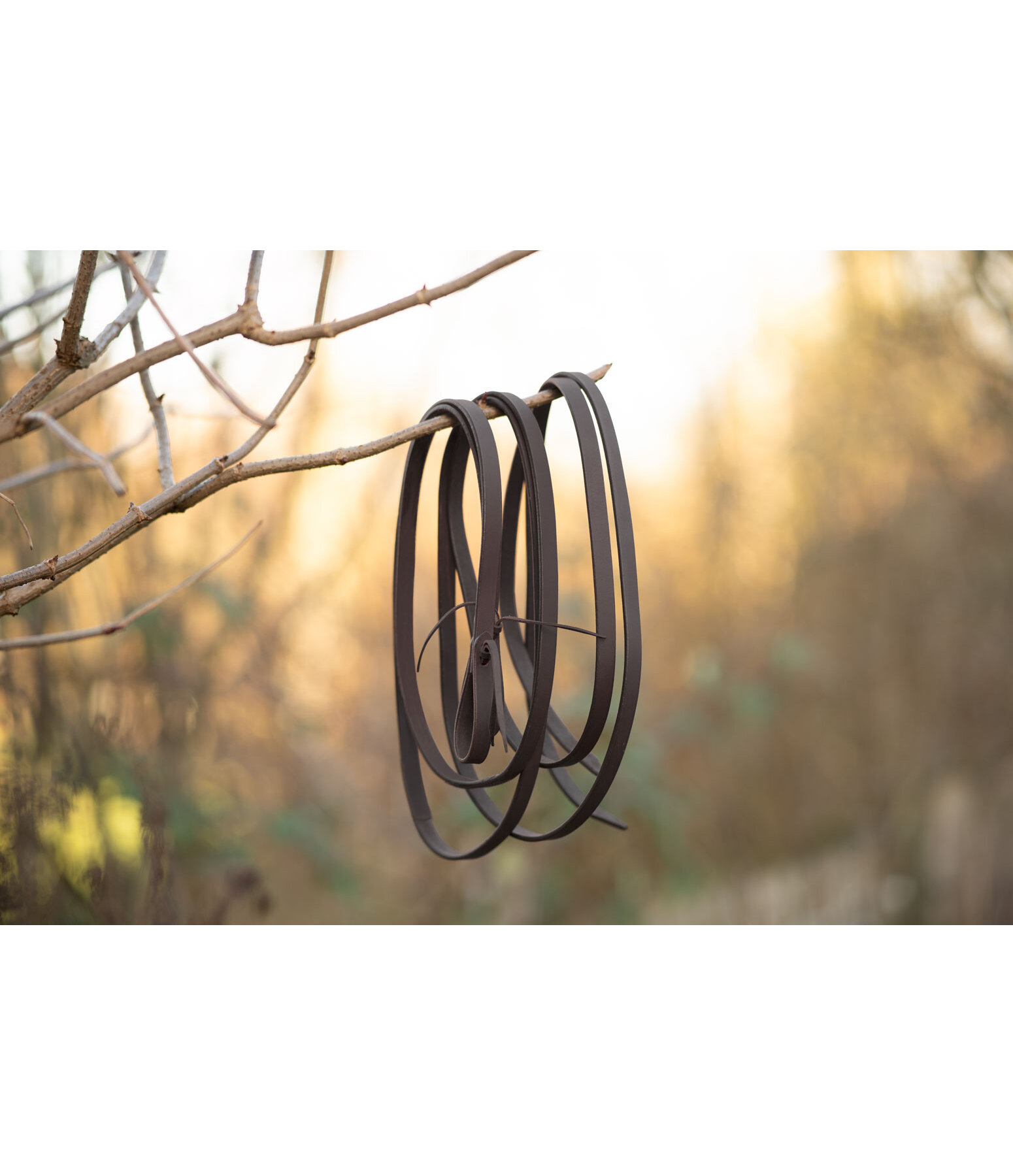 Mix & Match Westernz�gel Tie End
