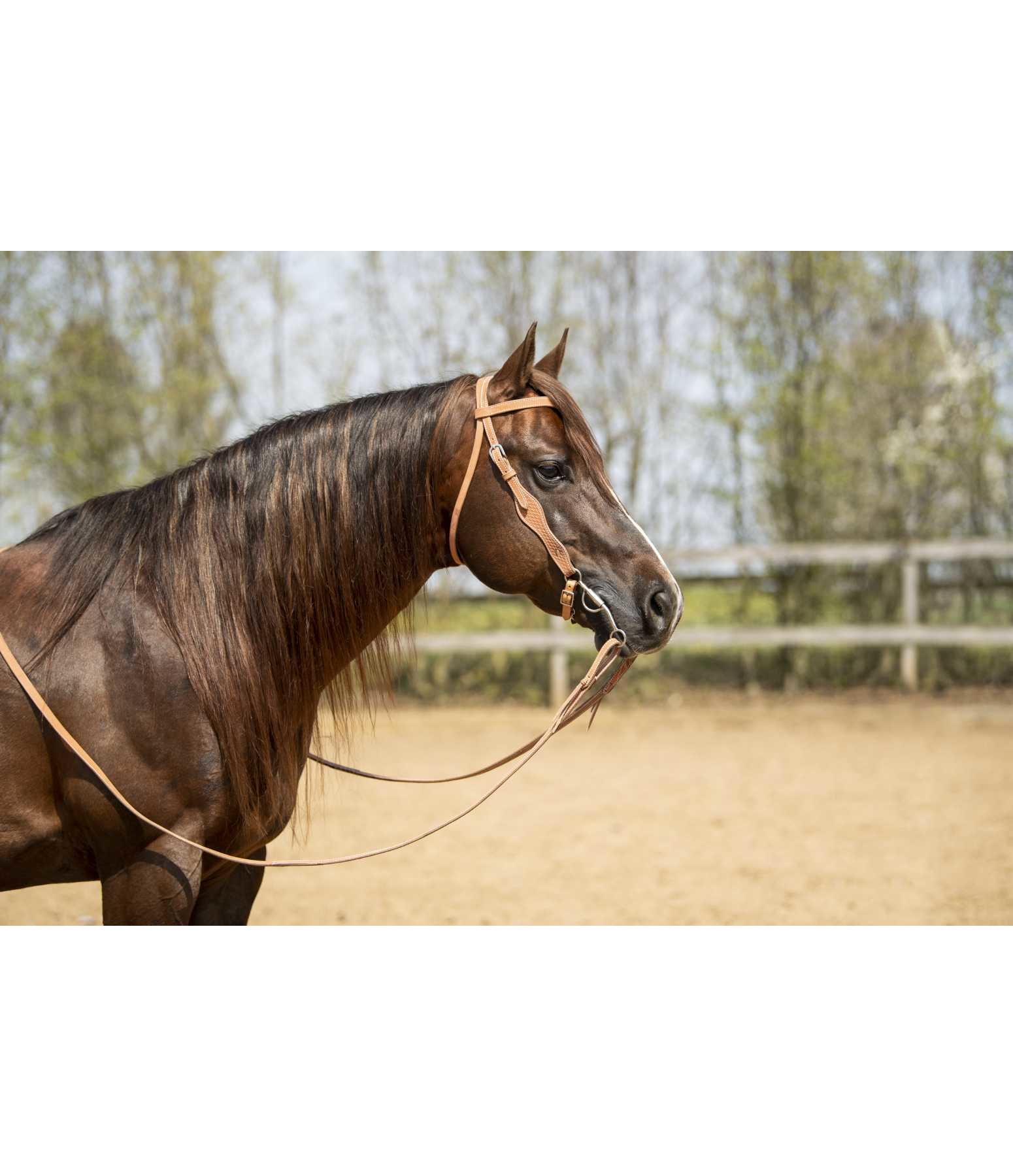 Mix & Match Westernzügel Tie End