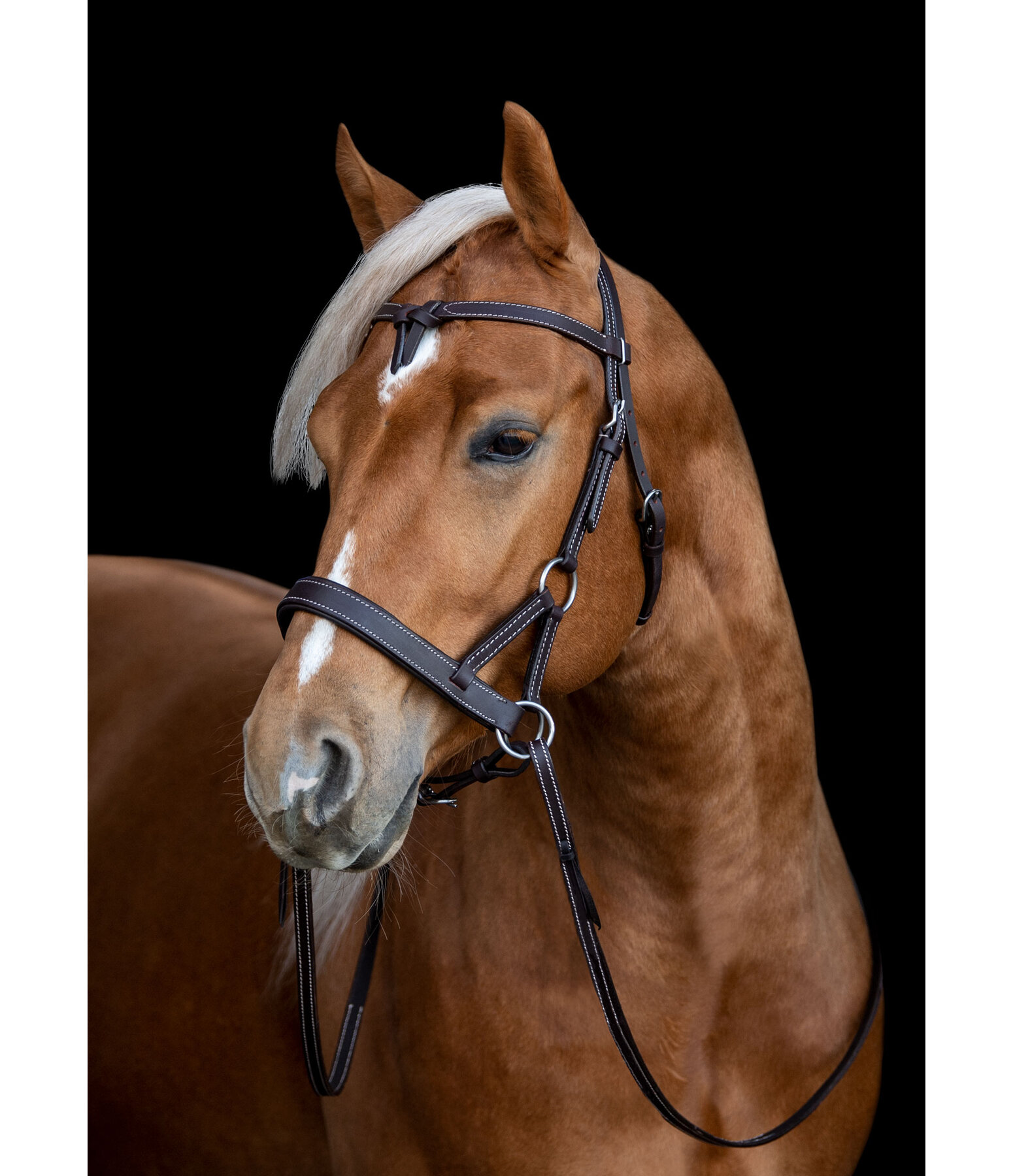 Mix & Match Futurity Knot Browband