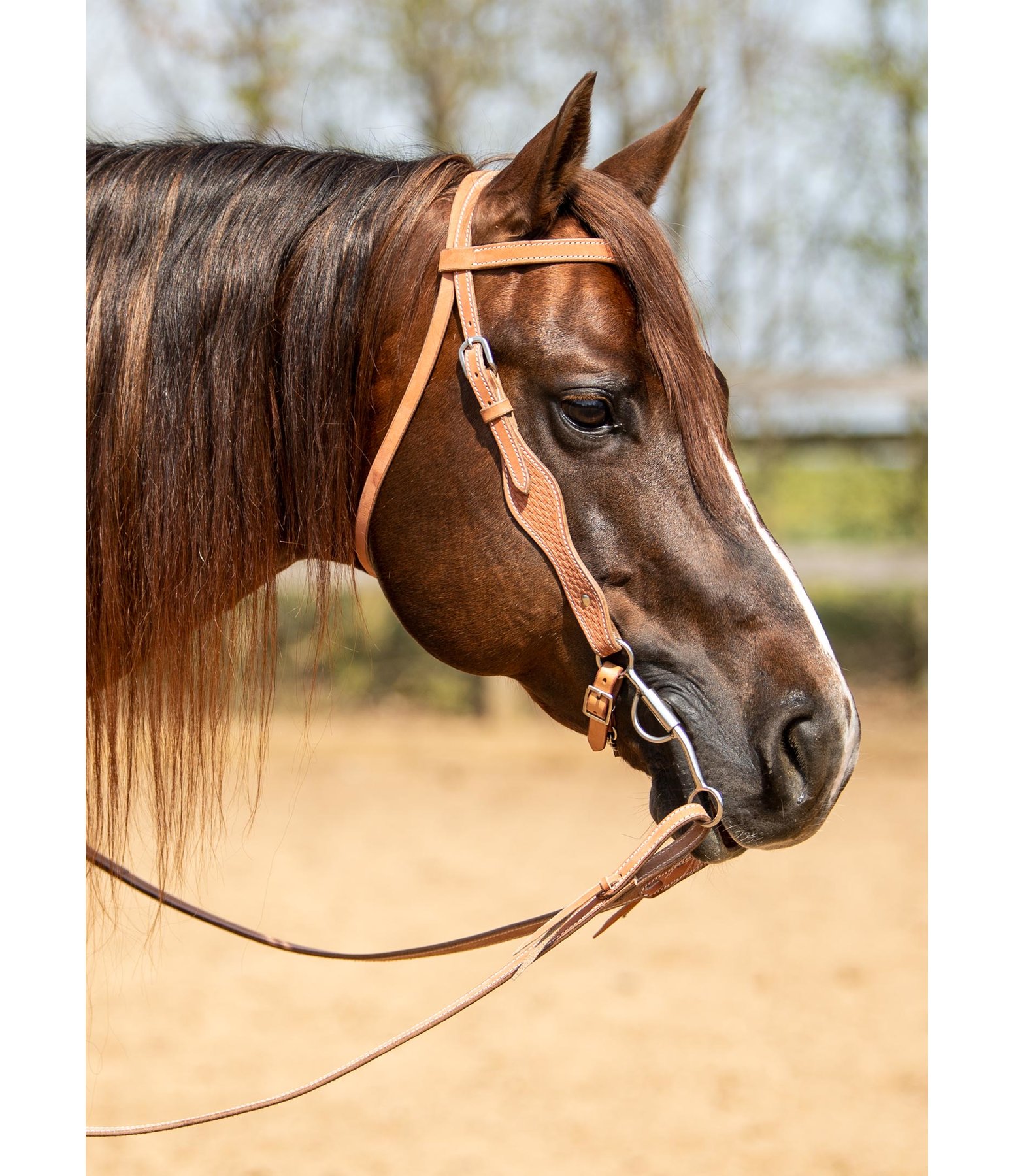 Mix & Match Browband Set Basic