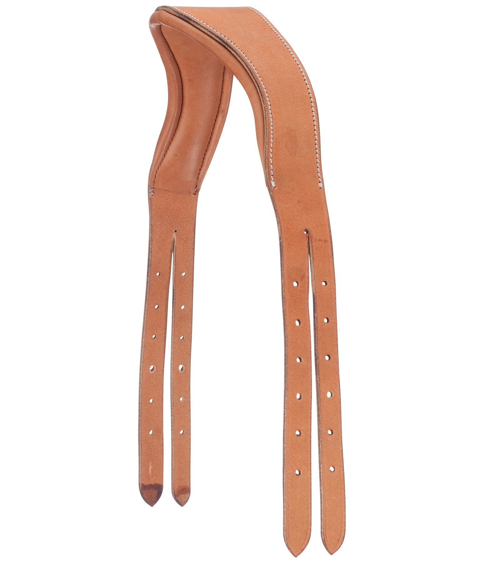 Mix & Match Anatomical Headpiece