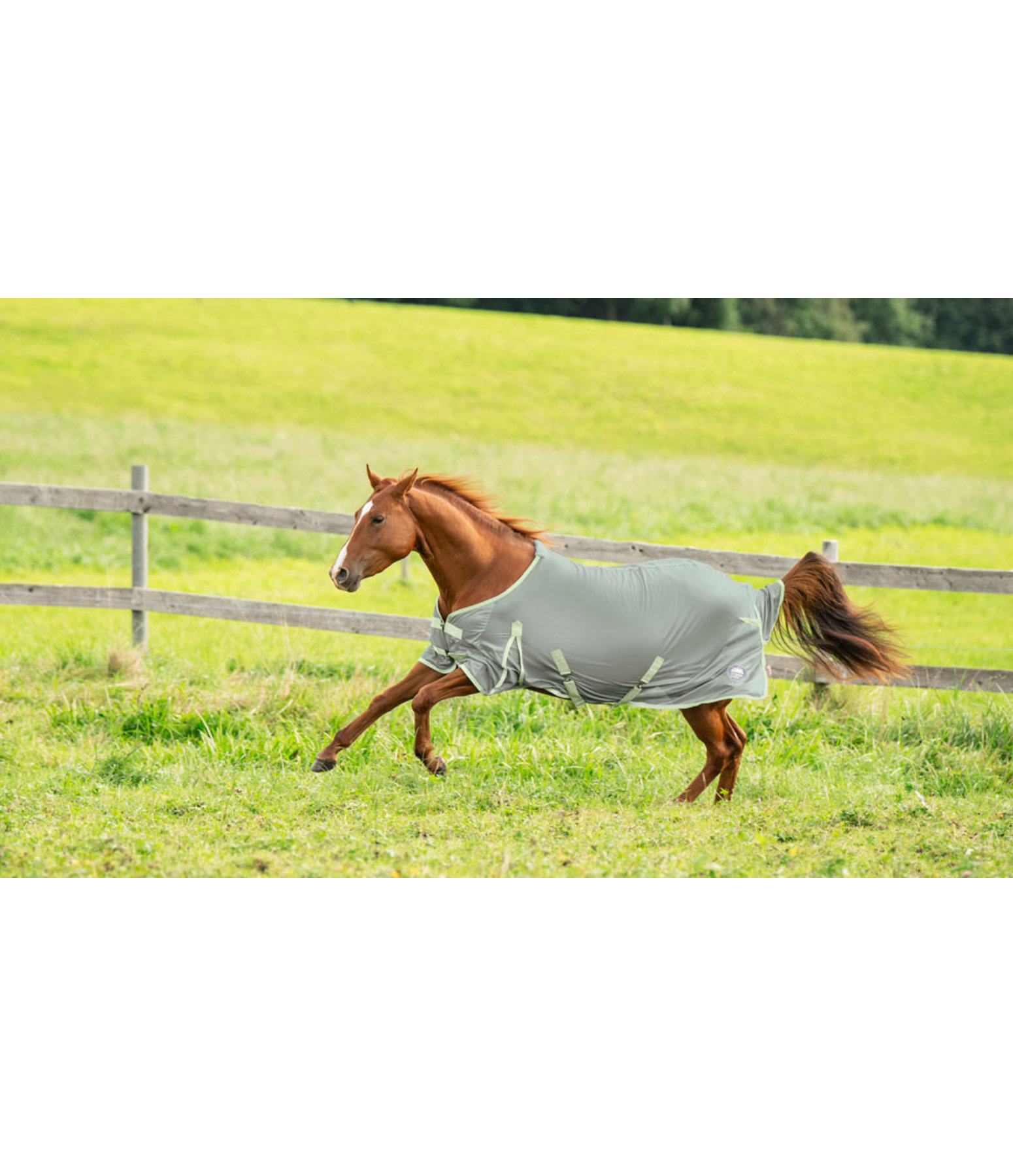 Fliegendecke Breeze