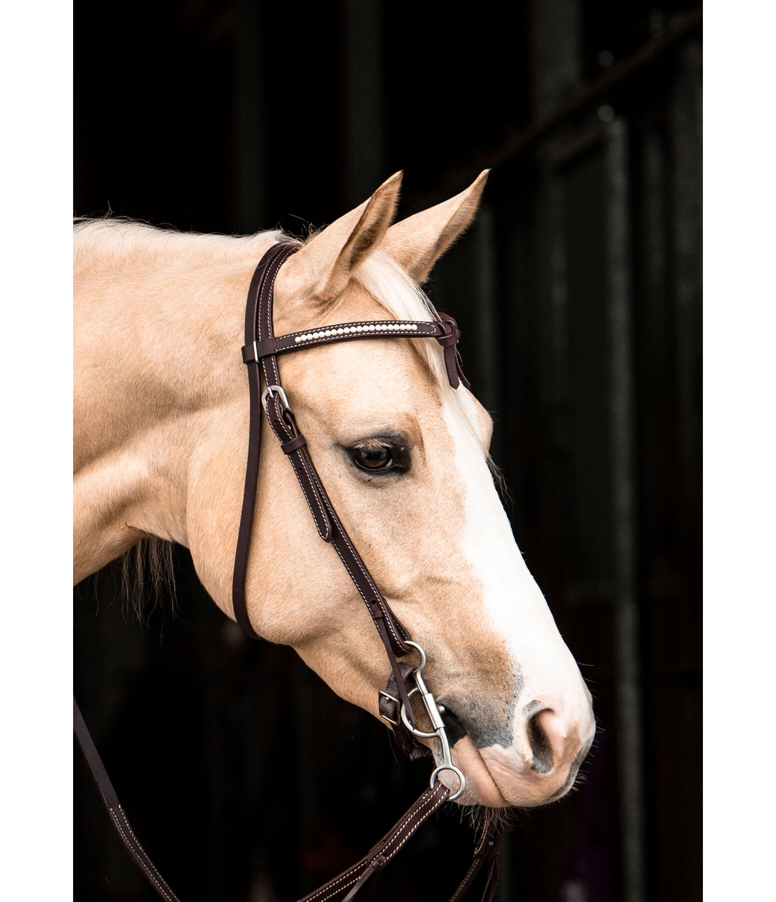 Mix & Match Futurity Knot Browband Pearls