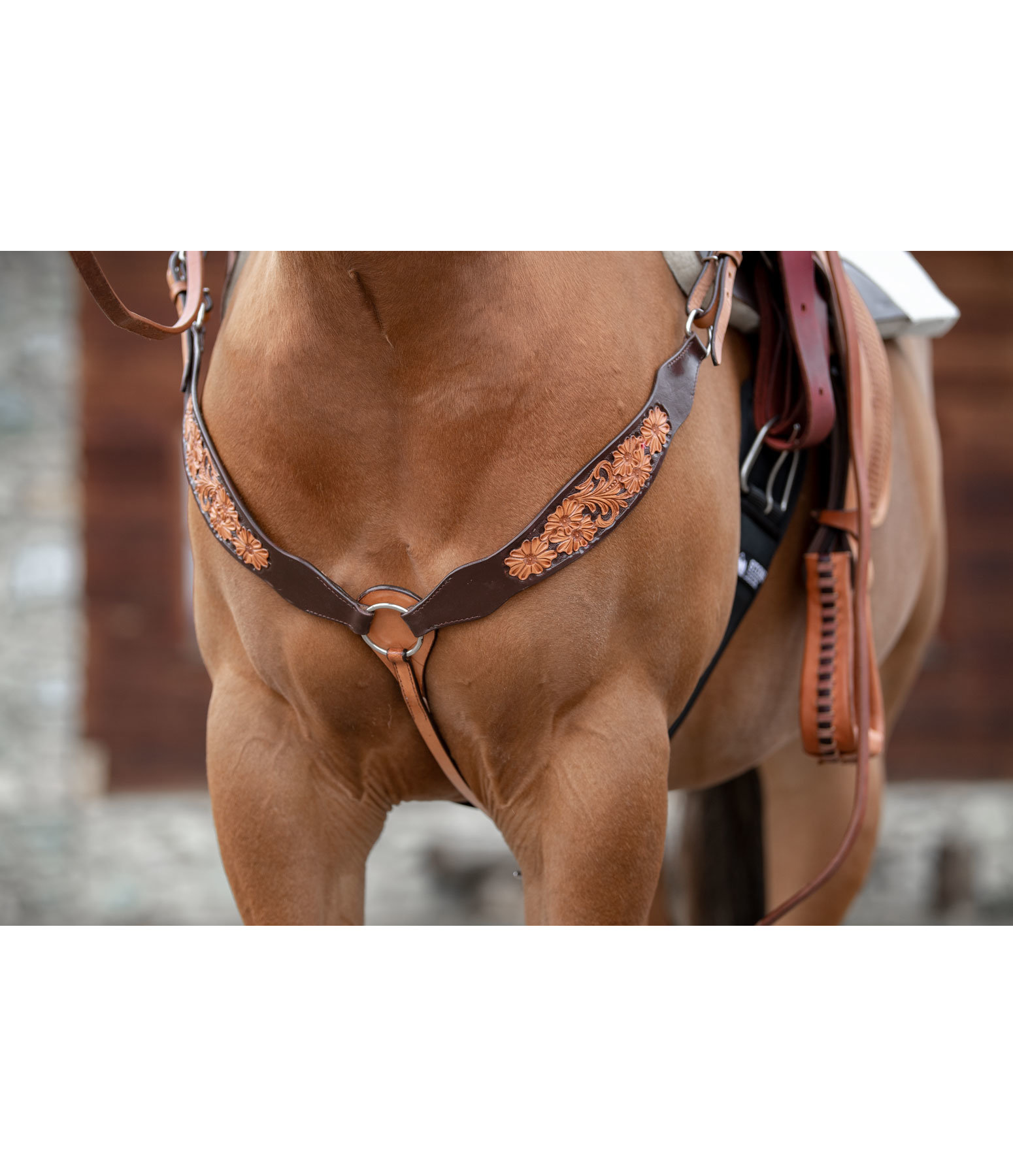 Westernvorderzeug Hialeah
